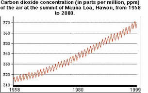 CO2 concentrations from 1958-2000