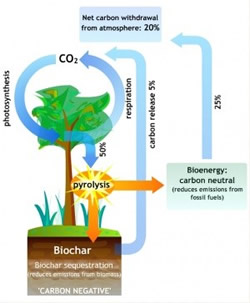 the carbon negative process 