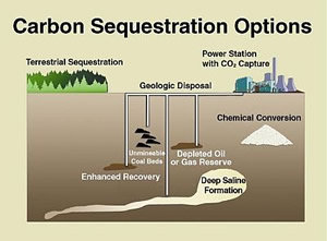 carbon sequestration options