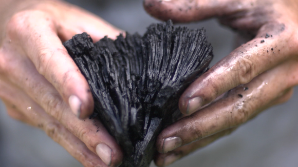 Dirt Rich — The Importance of Biochar and Regenerative Systems for Soil Health 